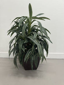  Faux Dracaena Plant