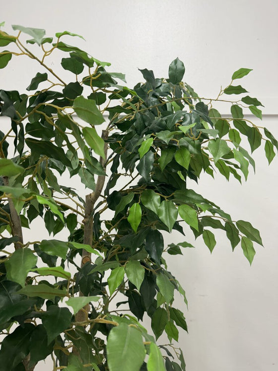 Faux Weeping Fig Tree