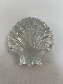  Crystal Scallop Shell