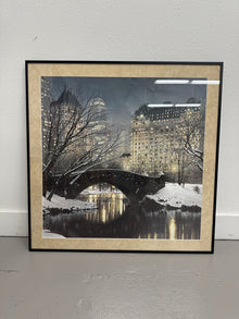  Central Park Print