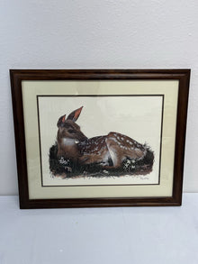  "The Fawn" Print by Gary R. Lucy