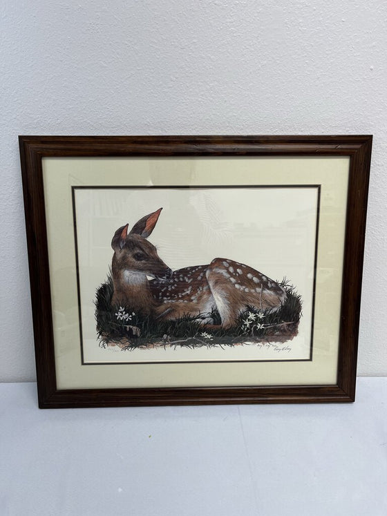 "The Fawn" Print by Gary R. Lucy