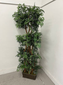  Artificial Ash or Ming Tree