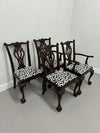 Chippendale DR Chairs