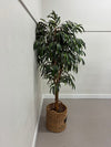 Faux Ficus alii Tree