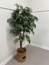 Faux Ficus alii Tree