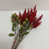 Astilbe Stem